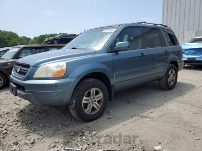 HONDA PILOT 2005 5FNYF18505B048078