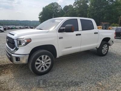 TOYOTA TUNDRA 2020 5TFDY5F10LX949616