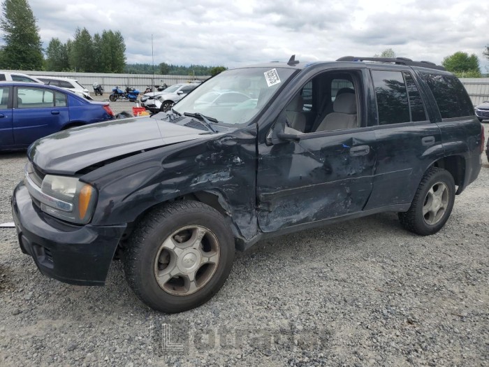 CHEVROLET TRAILBLZR 2006 VIN 1GNDT13S062341012