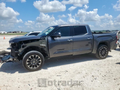 TOYOTA TUNDRA 2023 5TFJA5DB9PX097520