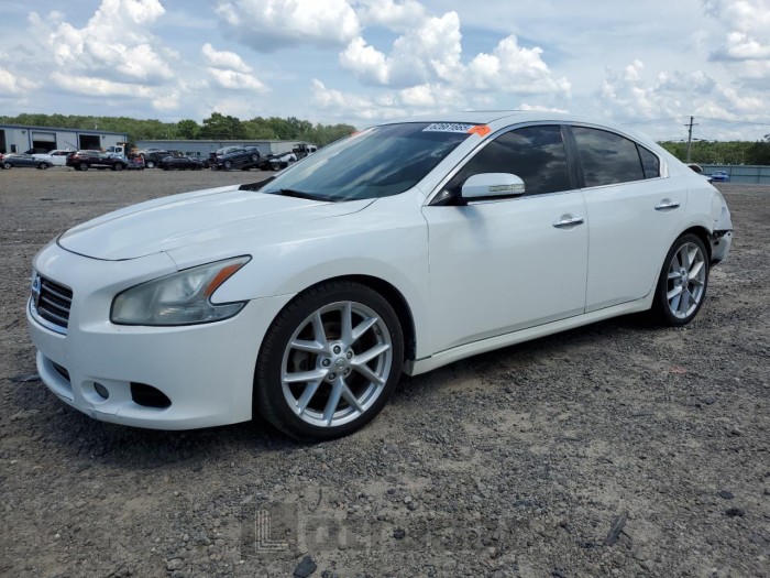 NISSAN MAXIMA 2009 VIN 1N4AA51E59C805079