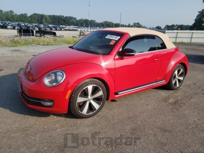 VOLKSWAGEN BEETLE 2013 3VW7A7AT2DM802160