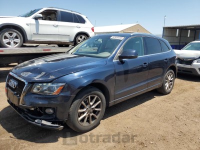AUDI Q5 2010 VIN WA1LKAFP7AA029020