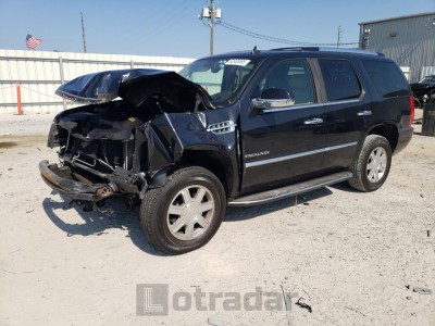 CADILLAC ESCALADE 2010 VIN 1GYUKAEF7AR116351