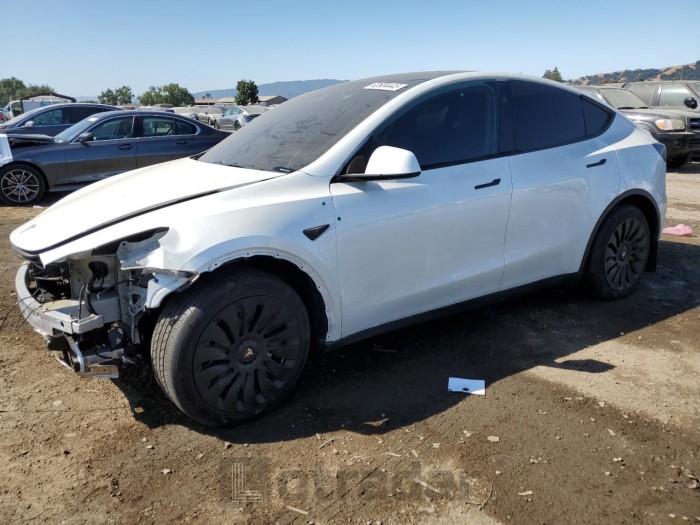 TESLA MODEL Y 2024 VIN 7SAYGDEE5RF090807