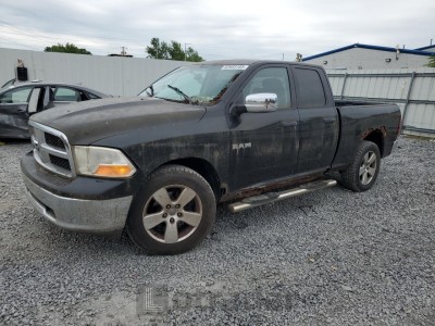 DODGE All Models 2010 VIN 1D7RV1GP5AS102505