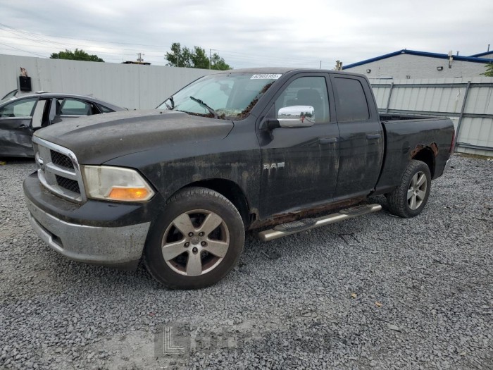 DODGE All Models 2010 VIN 1D7RV1GP5AS102505