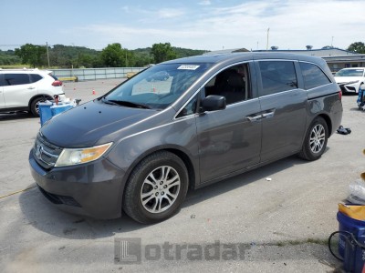 HONDA All Models 2013 5FNRL5H62DB006393