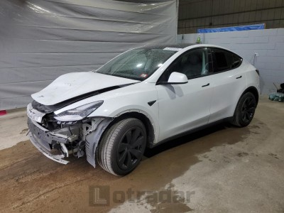 TESLA MODEL Y 2020 5YJYGDEE6LF043757