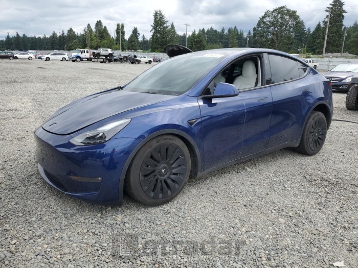 TESLA MODEL Y 2023 VIN 7SAYGDEE3PF811896