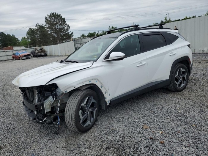 HYUNDAI TUCSON 2024 VIN 5NMJECDE6RH370749