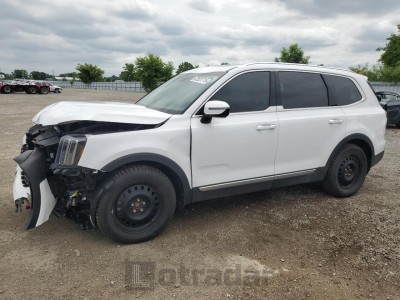 KIA TELLURIDE 2023 VIN 5XYP5DGC4PG360819