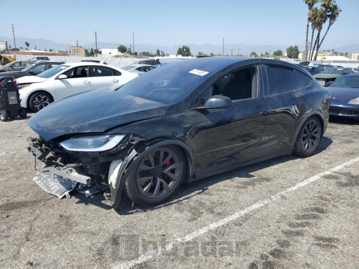 TESLA MODEL X 2024 VIN 7SAXCBE61RF449039