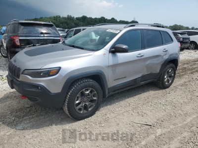JEEP CHEROKEE 2019 1C4PJMBX9KD298976