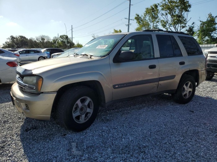CHEVROLET TRAILBLZR 2004 VIN 1GNDS13S842174351