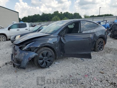 TESLA MODEL Y 2024 7SAYGDED8RF158606