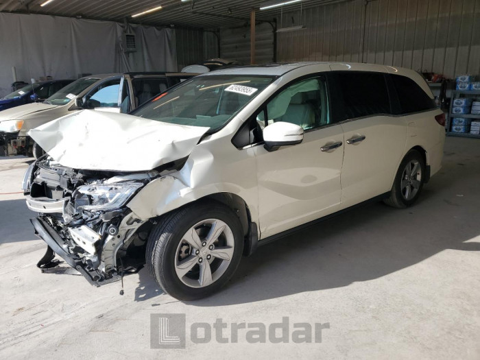 HONDA All Models 2019 VIN 5FNRL6H76KB016405