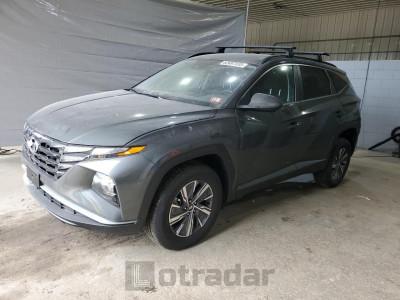 HYUNDAI TUCSON 2024 KM8JBCD19RU222542