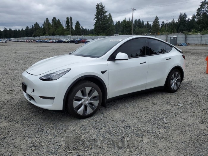 TESLA MODEL Y 2023 VIN 7SAYGAEE2PF598258