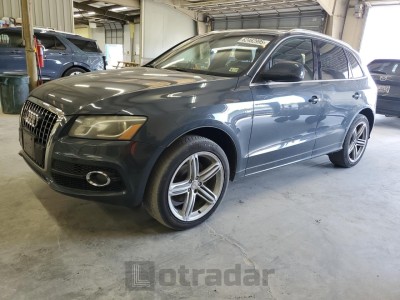 AUDI Q5 2010 VIN WA1WKAFPXAA080363