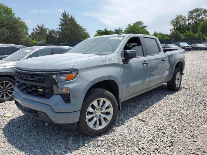 CHEVROLET ALL Models 2024 VIN 3GCPDBEK8RG355936
