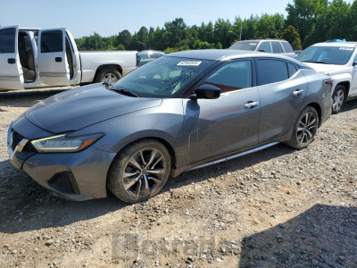 NISSAN MAXIMA 2019 1N4AA6AV9KC375908