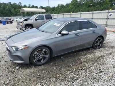 MERCEDES-BENZ A-CLASS 2019 WDD3G4EB0KW020734
