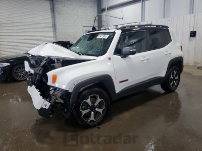 JEEP RENEGADE 2019 ZACNJBC17KPK30969