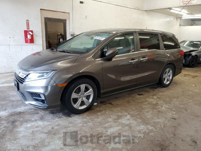 HONDA All Models 2019 VIN 5FNRL6H50KB009447