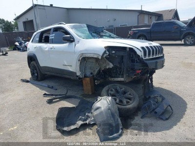 JEEP CHEROKEE 2017 1C4PJMBS7HW581166