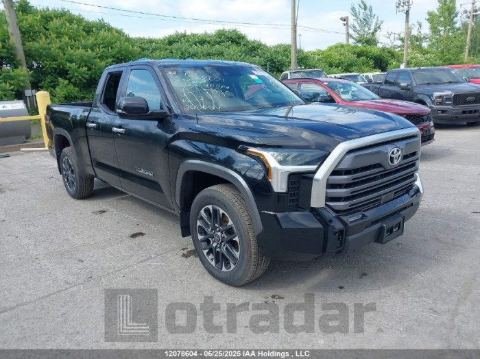 TOYOTA TUNDRA 2023 VIN 5TFJA5DA8PX070090