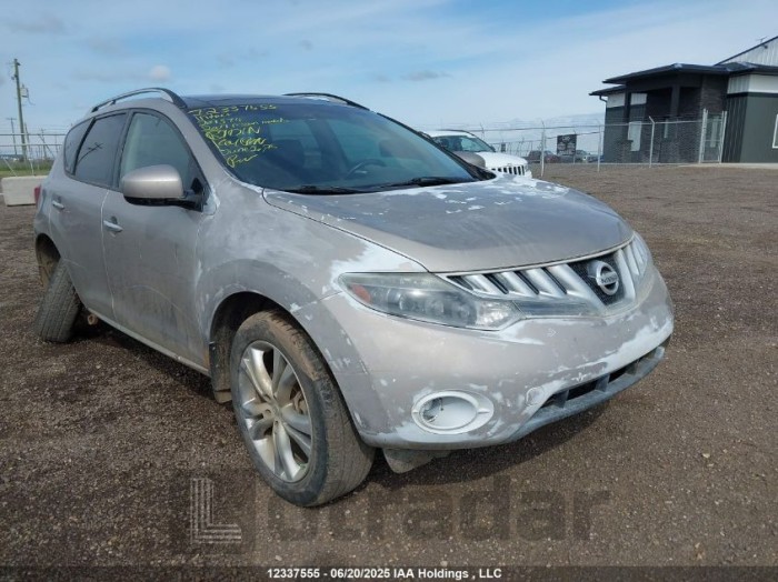 NISSAN MURANO 2009 VIN JN8AZ18W09W209374