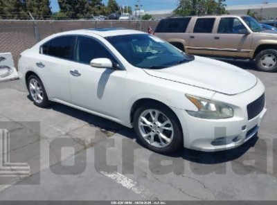 NISSAN MAXIMA 2013 VIN 1N4AA5APXDC828450