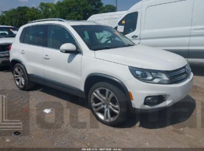 VOLKSWAGEN TIGUAN 2013 WVGAV3AX3DW598926