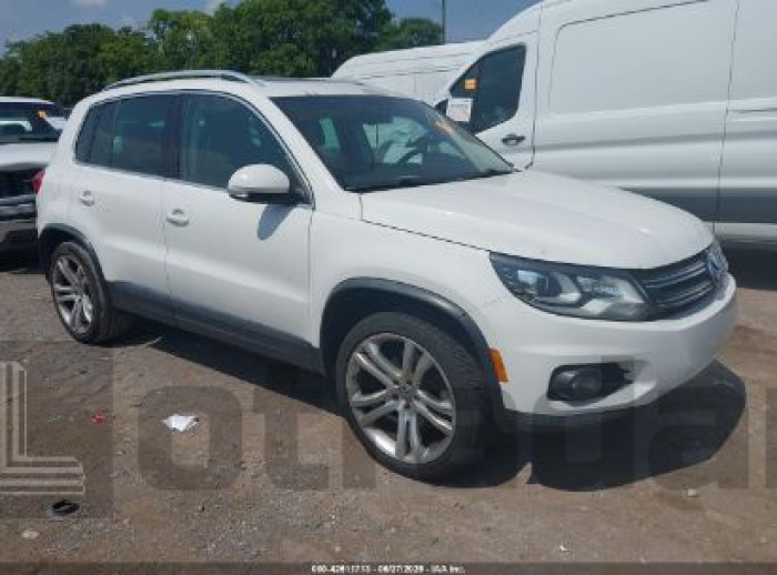 VOLKSWAGEN TIGUAN 2013 VIN WVGAV3AX3DW598926