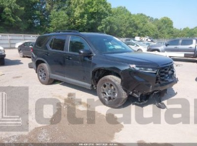 HONDA PILOT 2024 VIN 5FNYG1H67RB022721