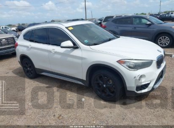 BMW X1 2019 VIN WBXHU7C54K5L10880
