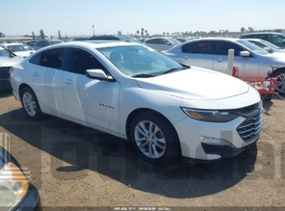 CHEVROLET MALIBU 2019 1G1ZD5ST9KF211139