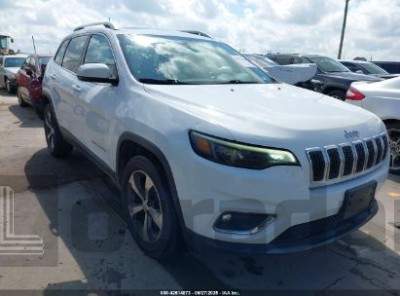 JEEP CHEROKEE 2019 1C4PJMDN7KD299412
