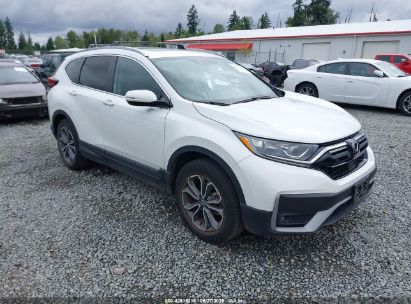 HONDA CR-V 2021 2HKRW2H56MH677533