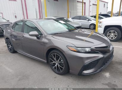 TOYOTA CAMRY 2024 4T1G11AK2RU905066
