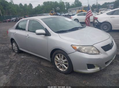 TOYOTA COROLLA 2010 2T1BU4EE2AC313969