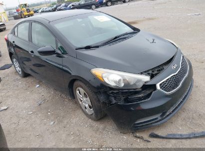 KIA FORTE 2016 KNAFK4A6XG5446567