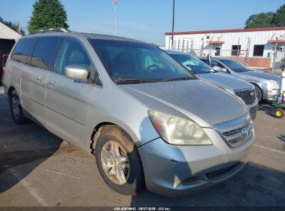 HONDA ODYSSEY 2006 5FNRL38646B409461