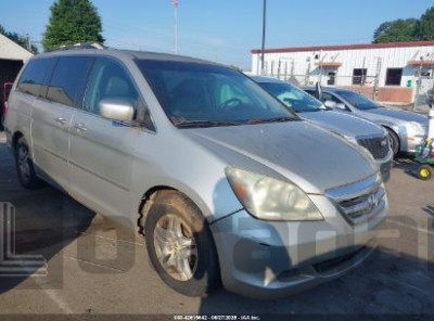 HONDA ODYSSEY 2006 5FNRL38646B409461