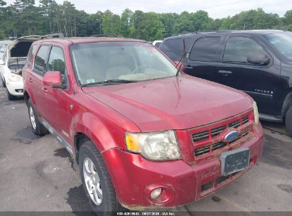 FORD ESCAPE 2008 1FMCU94138KA83444