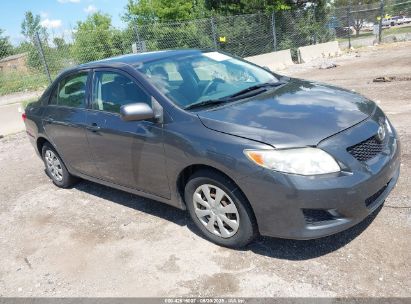TOYOTA COROLLA 2009 JTDBL40E199053348