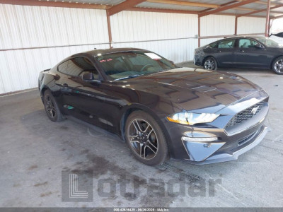 FORD MUSTANG 2023 1FA6P8TH4P5101051
