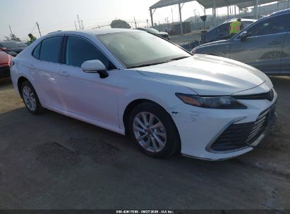 TOYOTA CAMRY 2023 4T1C11AKXPU11297
