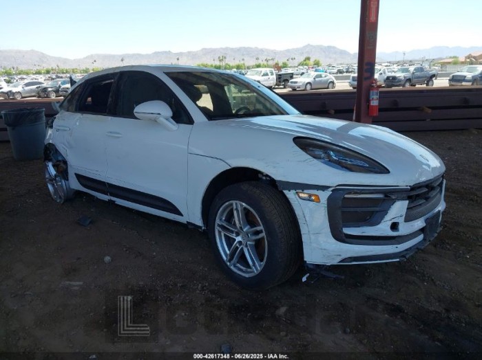 PORSCHE MACAN 2024 VIN WP1AA2A55RLB16232